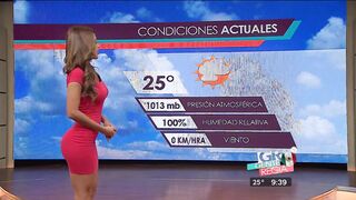 Yanet's Forecast