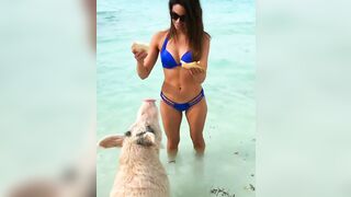 Jennifer Lahmers in a bikini feeding a pig. (x-post from /r/hot_reporters)