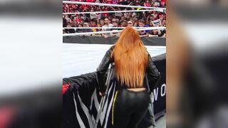 Becky Lynch: Elimination Chamber '19