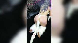 My little kittys tail wiggle