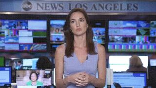 Romina Puga - ABC News (x-post from /r/hot_reporters)