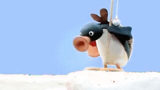 Request Pingu (x-Post r/wtf)