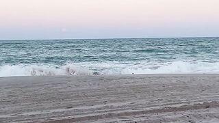 Today on the beach... Treasure Coast