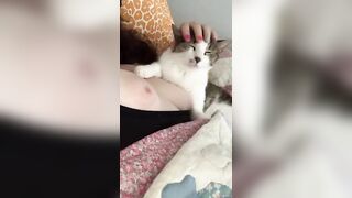 Pussy petting