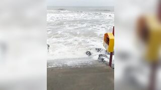 Bit of a rough day at the beach ☘️