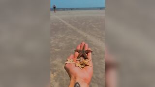 Spent most of last week saving washed up starfish at low tide. Tybee Island, GA, USA