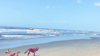 South Indian beach untouched by crowd