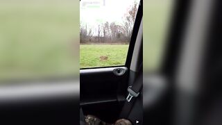Country guy yells at deer. Logansport, IN.