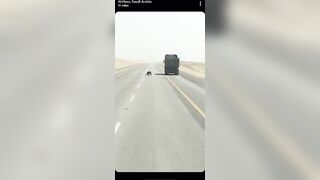 Middle eastern road rage