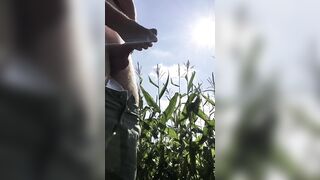 Getting naughty in a corn field [21]