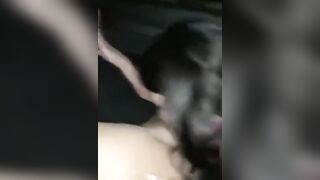 Adriana getting her pussy eaten by Kissa Sins
