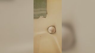 Shower mirror