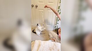 ofcourse she wants to show her cat :)